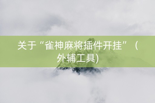 关于“雀神麻将插件开挂”（外辅工具)