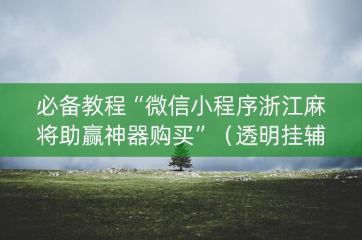 必备教程“微信小程序浙江麻将助赢神器购买”（透明挂辅助器)