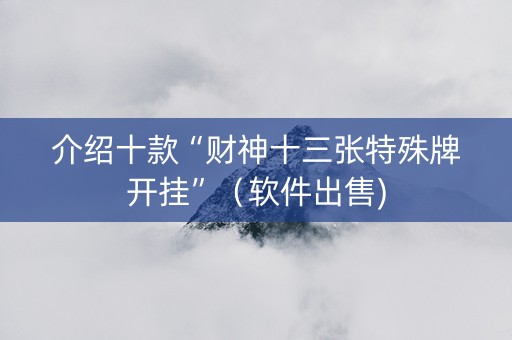 介绍十款“财神十三张特殊牌开挂”（软件出售)