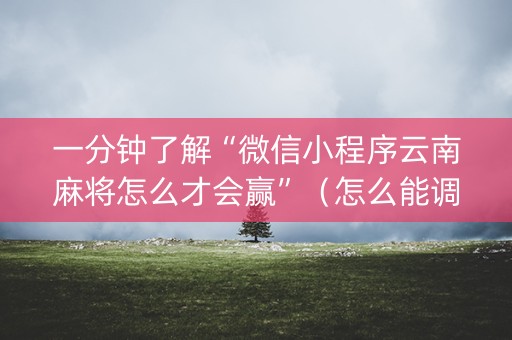 一分钟了解“微信小程序云南麻将怎么才会赢”（怎么能调好牌)