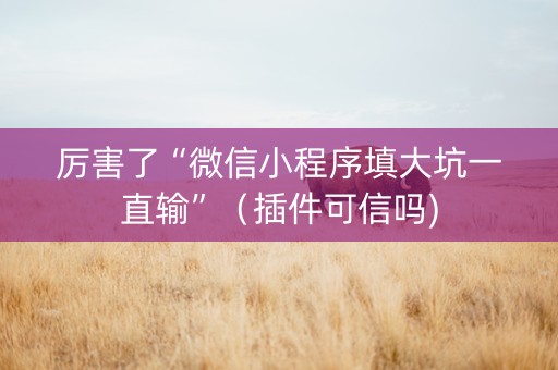 厉害了“微信小程序填大坑一直输”（插件可信吗)