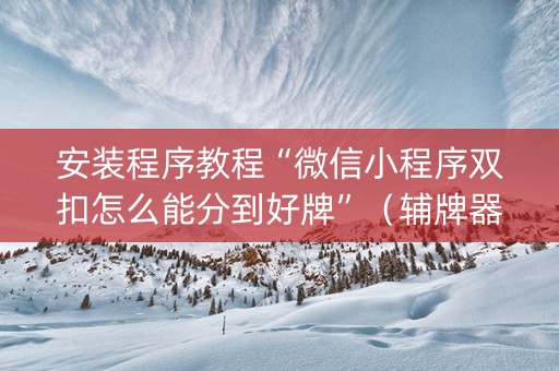 安装程序教程“微信小程序双扣怎么能分到好牌”（辅牌器插件购买)