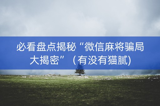 必看盘点揭秘“微信麻将骗局大揭密”(有没有猫腻) 必看盘点揭秘“微信麻将骗局大揭密”(有没有猫腻)