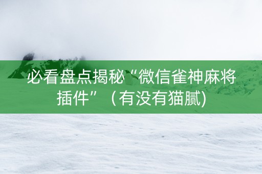 必看盘点揭秘“微信雀神麻将插件”（有没有猫腻)