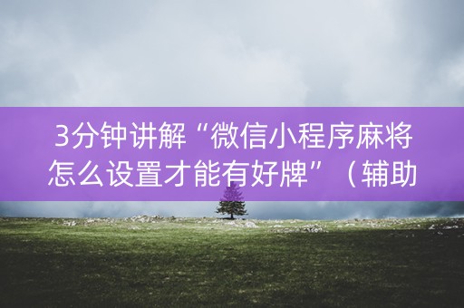 3分钟讲解“微信小程序麻将怎么设置才能有好牌”（辅助器通用版)