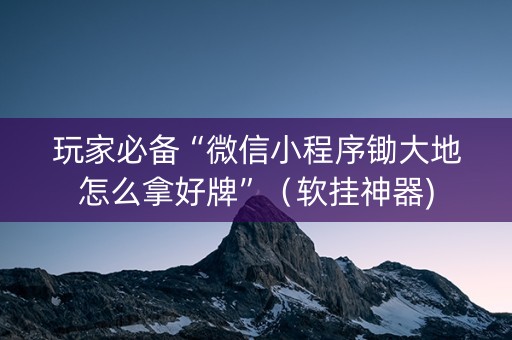 玩家必备“微信小程序锄大地怎么拿好牌”（软挂神器)