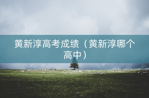 黄新淳高考成绩（黄新淳哪个高中）
