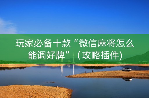 玩家必备十款“微信麻将怎么能调好牌”（攻略插件)