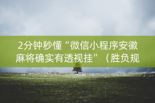 2分钟秒懂“微信小程序安徽麻将确实有透视挂”（胜负规律拿好牌)