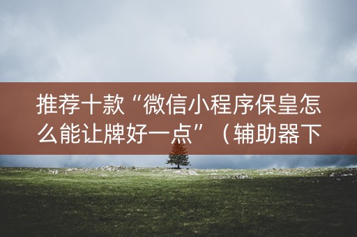 推荐十款“微信小程序保皇怎么能让牌好一点”（辅助器下载)