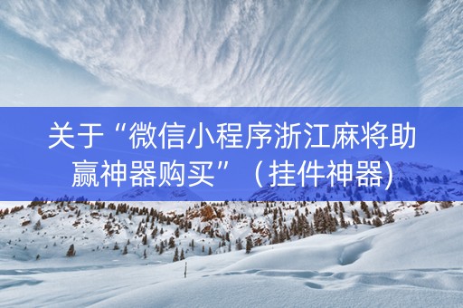 关于“微信小程序浙江麻将助赢神器购买”（挂件神器)