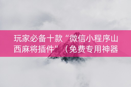 玩家必备十款“微信小程序山西麻将插件”（免费专用神器)