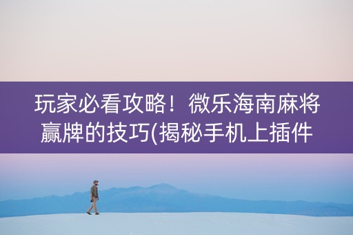 玩家必看攻略！微乐海南麻将赢牌的技巧(揭秘手机上插件购买)