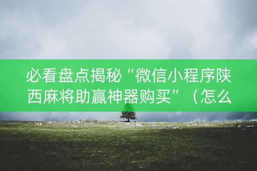 必看盘点揭秘“微信小程序陕西麻将助赢神器购买”（怎么能让牌好一点)