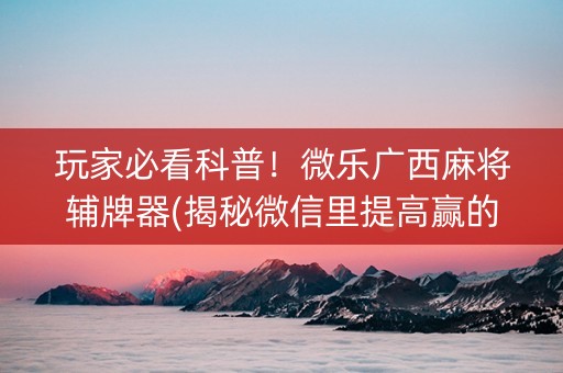 玩家必看科普！微乐广西麻将辅牌器(揭秘微信里提高赢的概率)