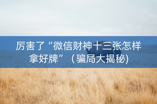 厉害了“微信财神十三张怎样拿好牌”（骗局大揭秘)