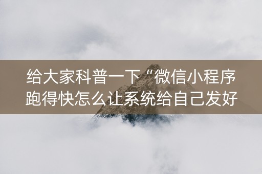 给大家科普一下“微信小程序跑得快怎么让系统给自己发好牌”（AI辅助胡牌规则)