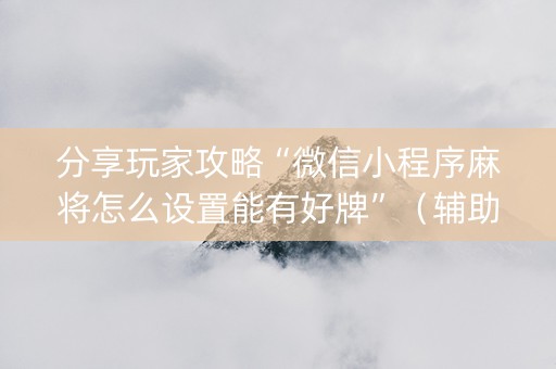 分享玩家攻略“微信小程序麻将怎么设置能有好牌”（辅助软件)