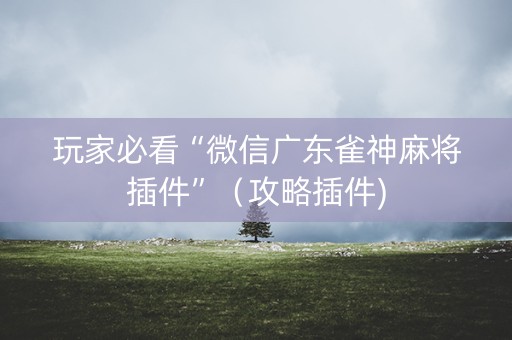玩家必看“微信广东雀神麻将插件”（攻略插件)