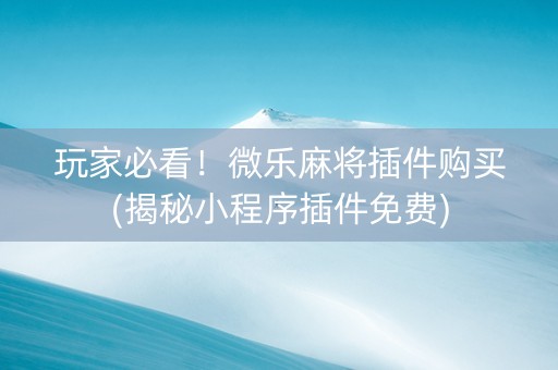 玩家必看！微乐麻将插件购买(揭秘小程序插件免费)