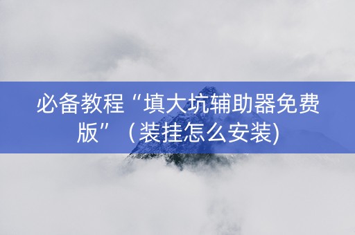 必备教程“填大坑辅助器免费版”（装挂怎么安装)