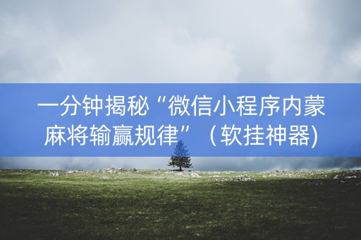 一分钟揭秘“微信小程序内蒙麻将输赢规律”（软挂神器)
