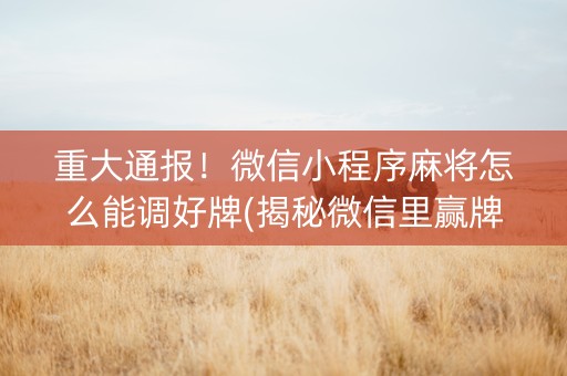 重大通报！微信小程序麻将怎么能调好牌(揭秘微信里赢牌技巧)