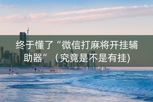 终于懂了“微信打麻将开挂辅助器”（究竟是不是有挂)