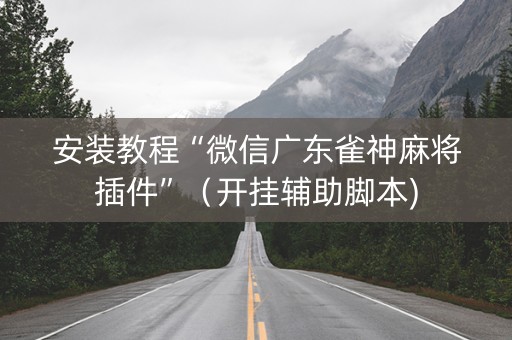 安装教程“微信广东雀神麻将插件”（开挂辅助脚本)