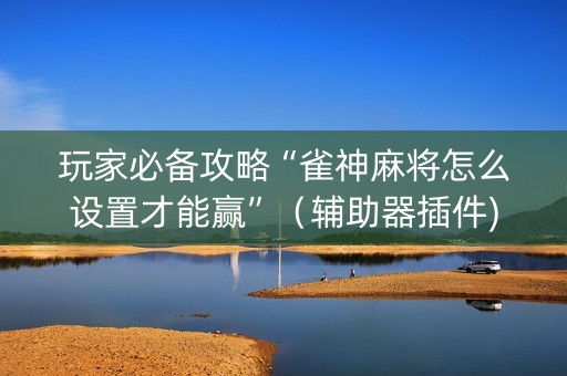 玩家必备攻略“雀神麻将怎么设置才能赢”（辅助器插件)