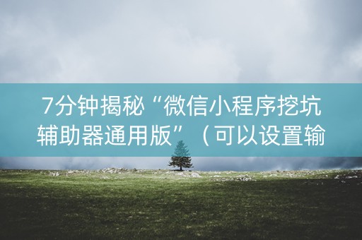 7分钟揭秘“微信小程序挖坑辅助器通用版”（可以设置输赢吗)
