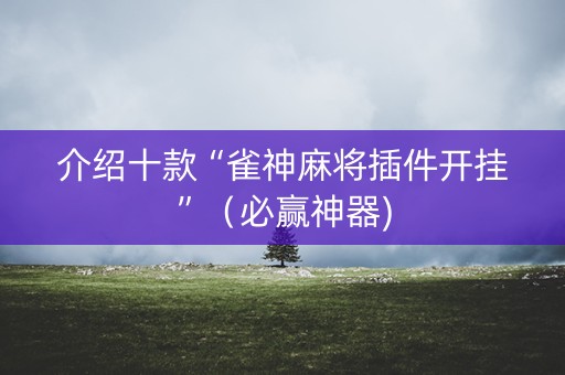介绍十款“雀神麻将插件开挂”（必赢神器)