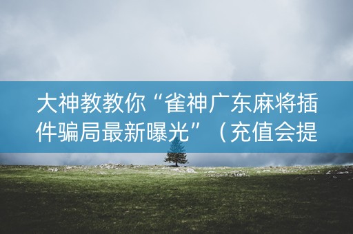 大神教教你“雀神广东麻将插件骗局最新曝光”（充值会提高胜率么)