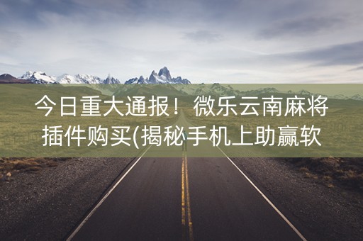 今日重大通报！微乐云南麻将插件购买(揭秘手机上助赢软件)