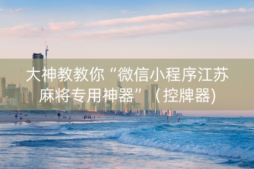 大神教教你“微信小程序江苏麻将专用神器”（控牌器)