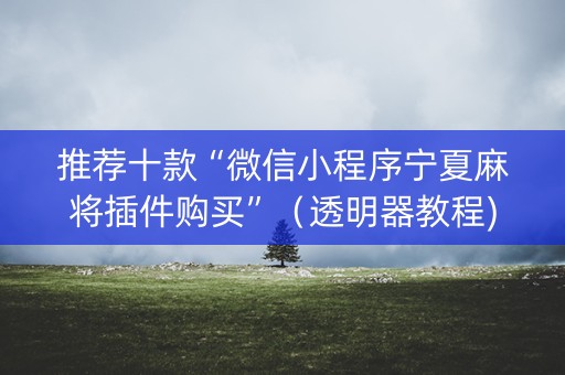 推荐十款“微信小程序宁夏麻将插件购买”（透明器教程)