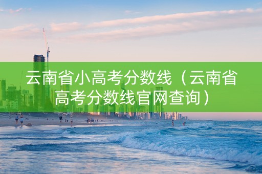云南省小高考分数线（云南省高考分数线官网查询）