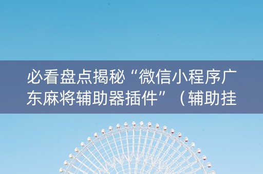 必看盘点揭秘“微信小程序广东麻将辅助器插件”（辅助挂发牌规律)