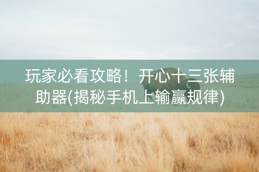 玩家必看攻略！开心十三张辅助器(揭秘手机上输赢规律)