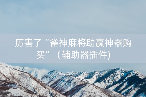 厉害了“雀神麻将助赢神器购买”（辅助器插件)