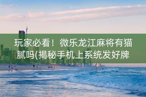 玩家必看！微乐龙江麻将有猫腻吗(揭秘手机上系统发好牌)