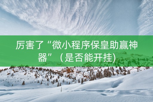 厉害了“微小程序保皇助赢神器”（是否能开挂)