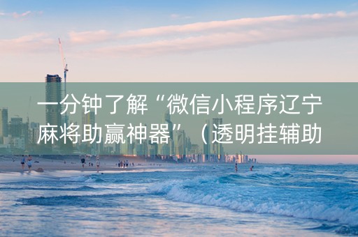 一分钟了解“微信小程序辽宁麻将助赢神器”(透明挂辅助器) 一分钟了解“微信小程序辽宁麻将助赢神器”(透明挂辅助器)