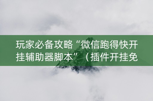 玩家必备攻略“微信跑得快开挂辅助器脚本”（插件开挂免费AI)