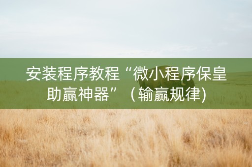 安装程序教程“微小程序保皇助赢神器”（输赢规律)