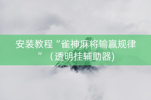 安装教程“雀神麻将输赢规律”（透明挂辅助器)