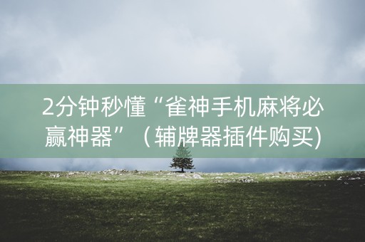 2分钟秒懂“雀神手机麻将必赢神器”（辅牌器插件购买)