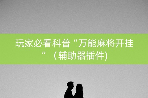 玩家必看科普“万能麻将开挂”（辅助器插件)