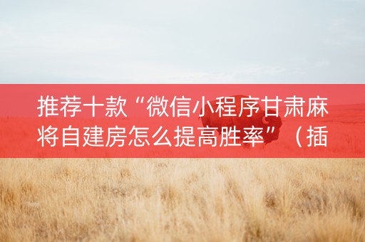 推荐十款“微信小程序甘肃麻将自建房怎么提高胜率”（插件开挂免费AI)