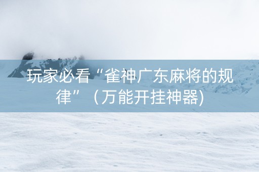 玩家必看“雀神广东麻将的规律”（万能开挂神器)
